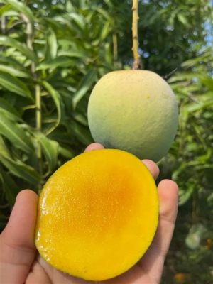  Queen Sirikit's Quest for the Mysterious Emerald Mango -  A 14th Century Thai Folk Tale Explores Themes of Courage, Selflessness and Delicious Fruit!